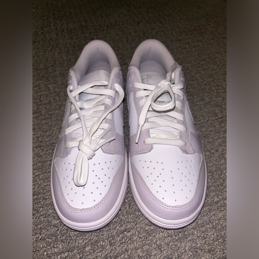 AUTHENTIC BRAND NEW NEVER WORN women’s Nike dunks